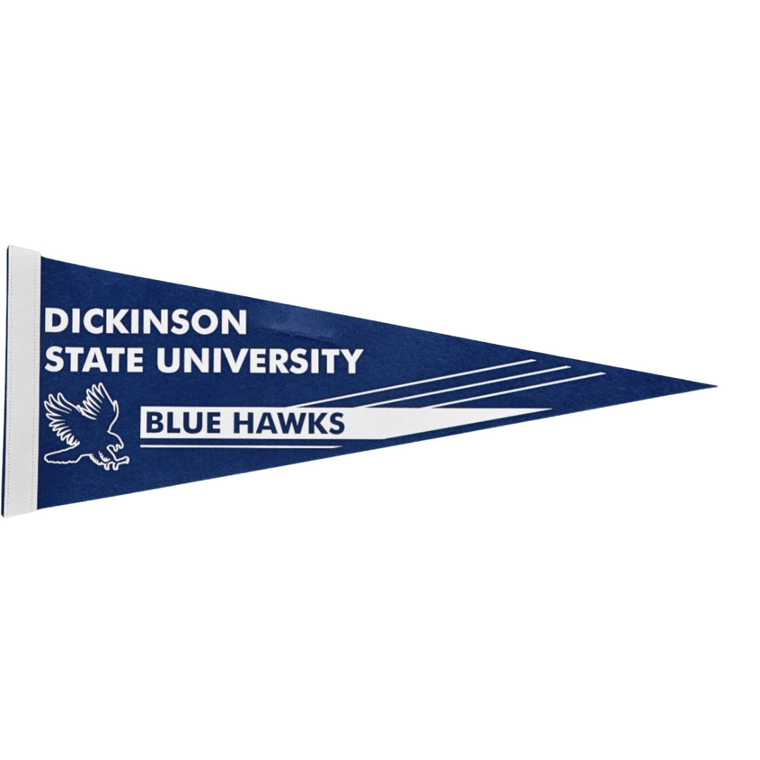 DSU Blue Pennant Banner