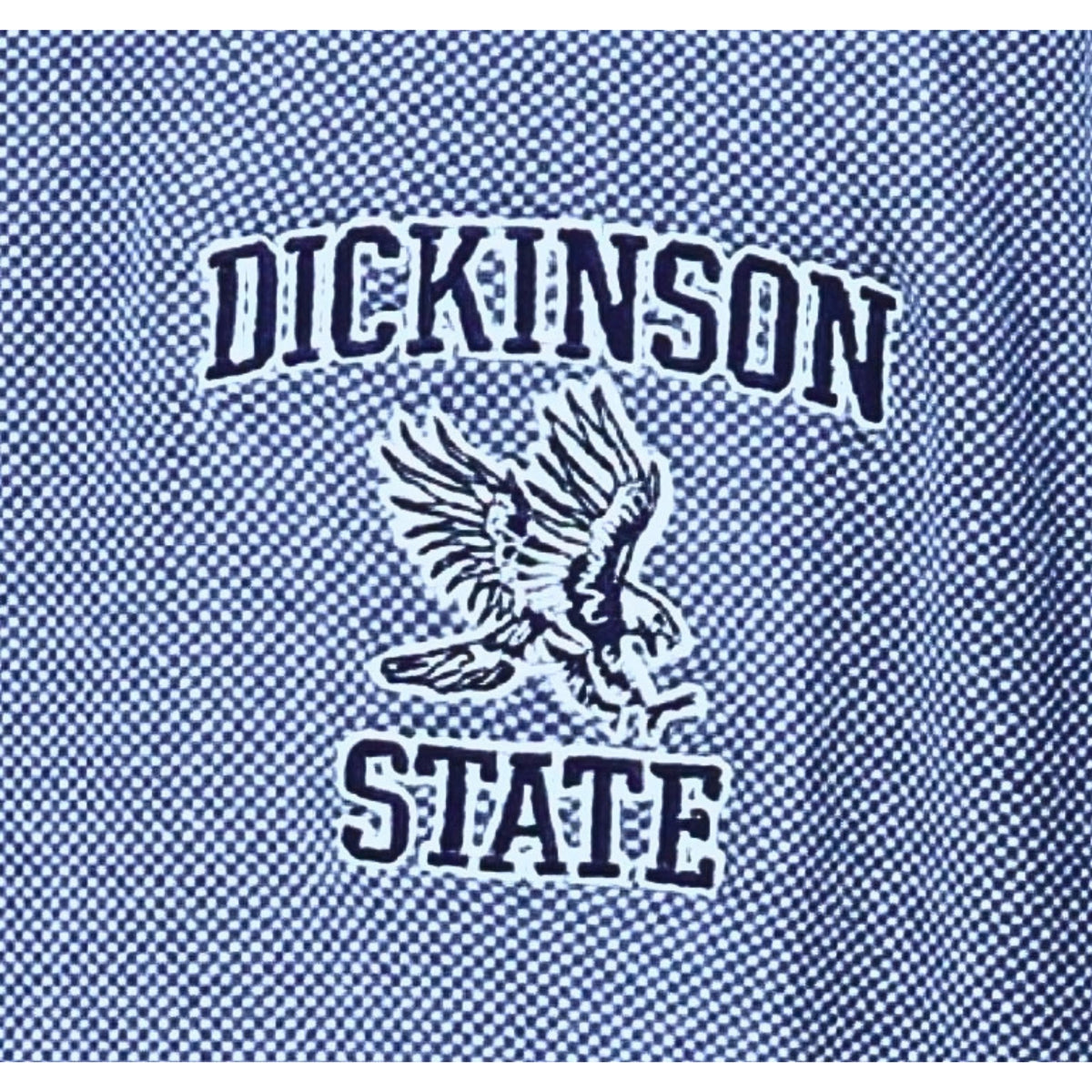Dickinson State Blue 1/4 Zip