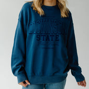 Person wearing a blue 'Dickinson State Blue Hawks Established 1918' sweatshirt on a plain background