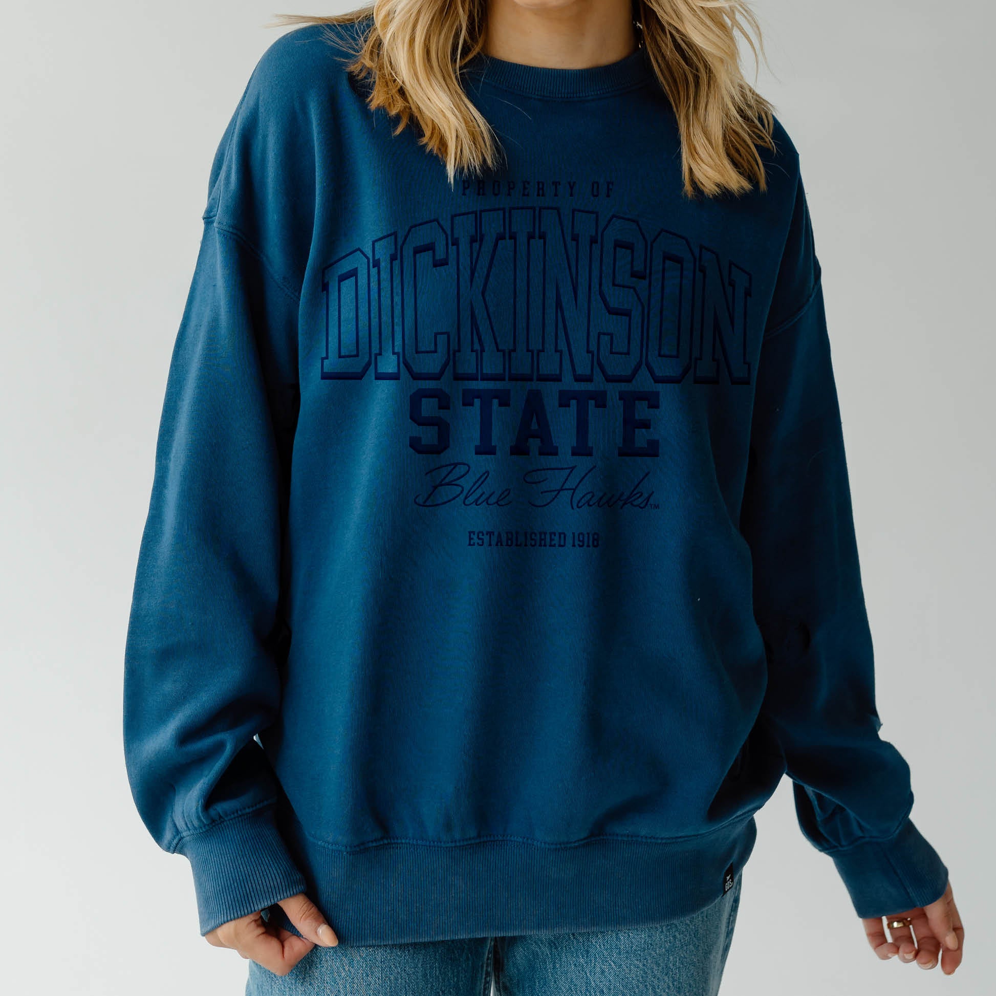 Person wearing a blue 'Dickinson State Blue Hawks Established 1918' sweatshirt on a plain background