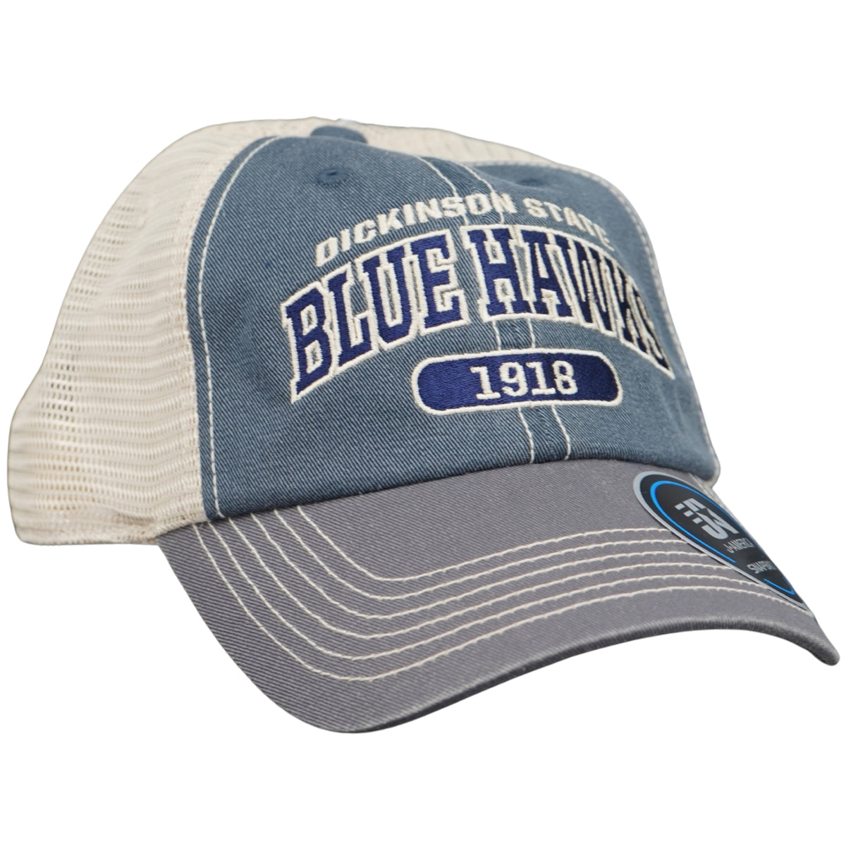 Dickinson  State Blue Hawks Cap