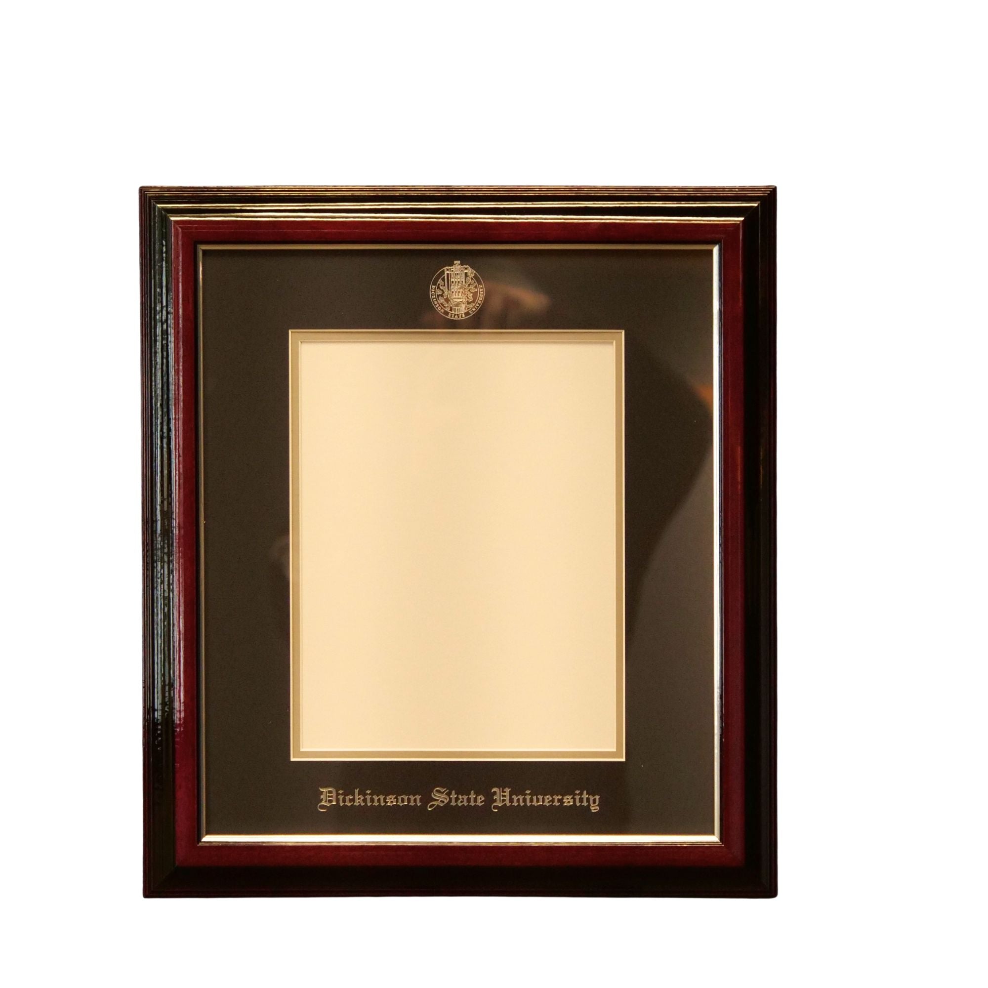 DSU Diploma Frame