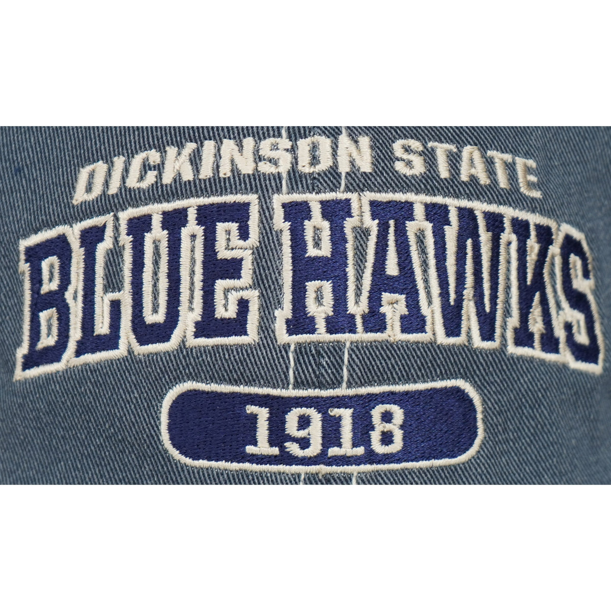 Dickinson  State Blue Hawks Cap