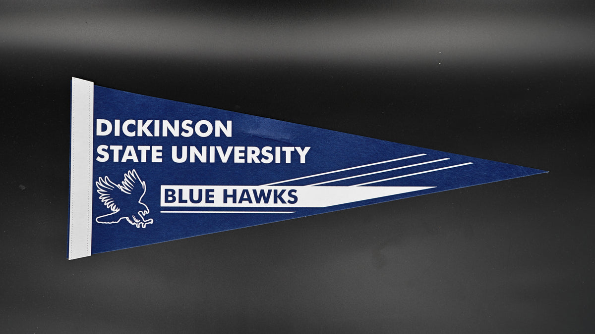 DSU Blue Pennant Banner