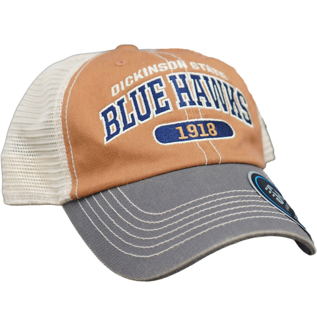 Dickinson  State Blue Hawks Cap